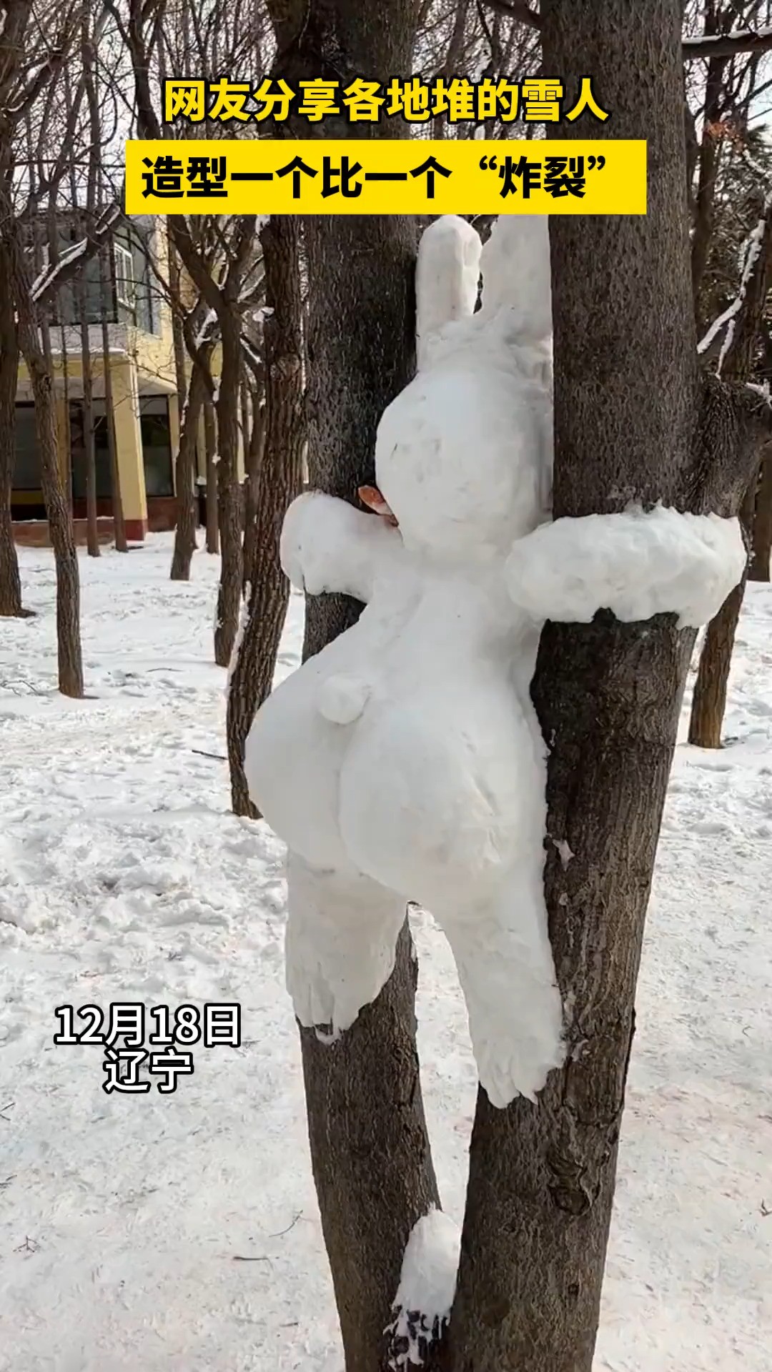 网友分享各地堆的雪人 造型一个比一个“炸裂”#看看你堆的雪人 #冬天该有的样子 #雪地里撒欢 #下雪就得这样玩 #看看谁堆的雪人最逼真 (来源:@优乐...