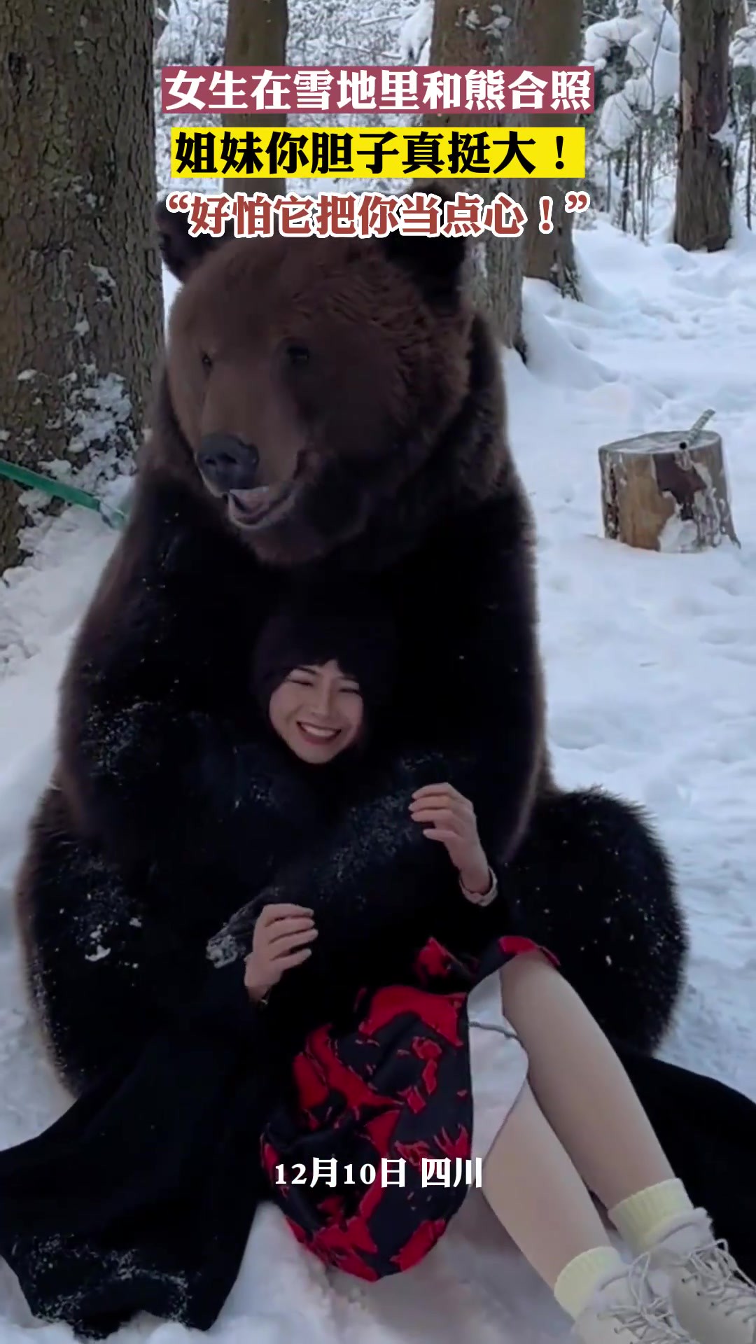 女生在雪地里和熊合照,姐妹你胆子真挺大!“好怕它把你当点心”