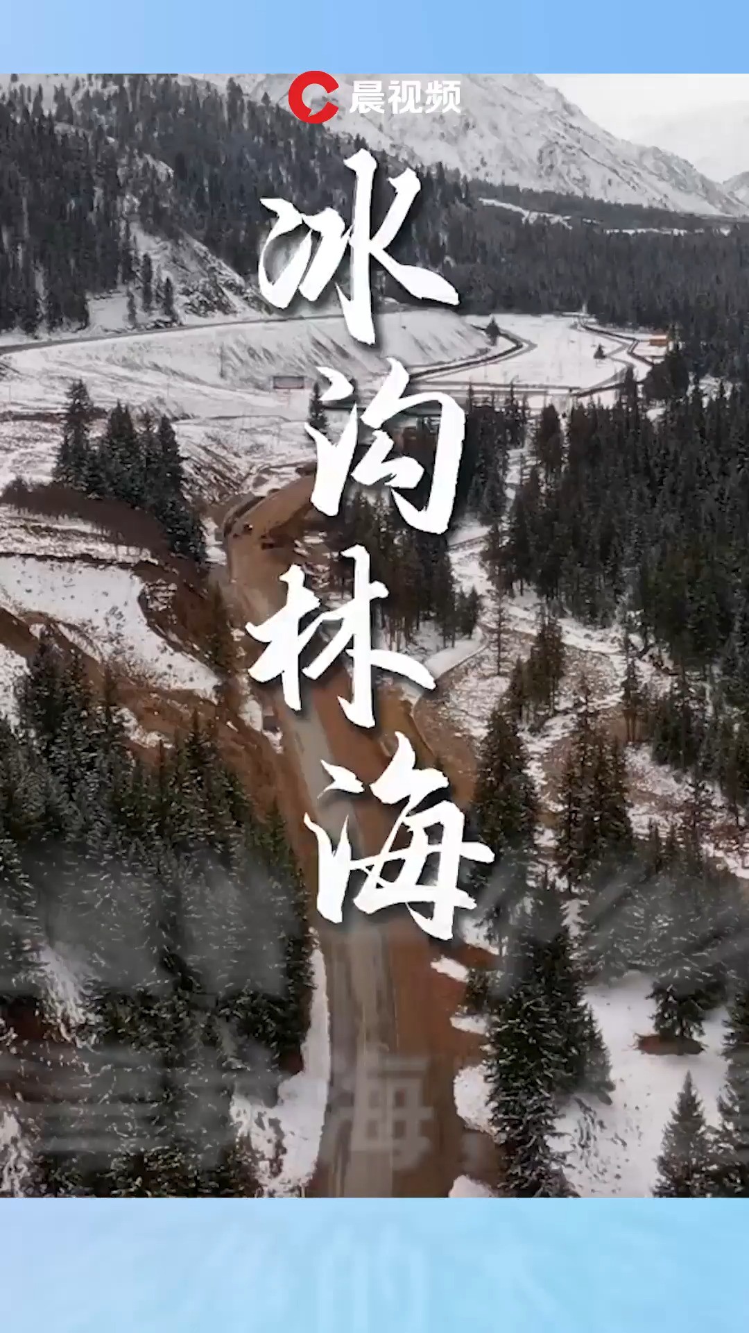 祁连山深处:雪后冰沟林海美如水墨画