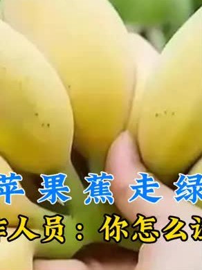 男子拉苹果蕉走绿通被拒,工作人员:你怎么证明?