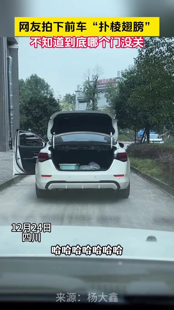 网友拍下前车“扑棱翅膀”不知道到底哪个门没关