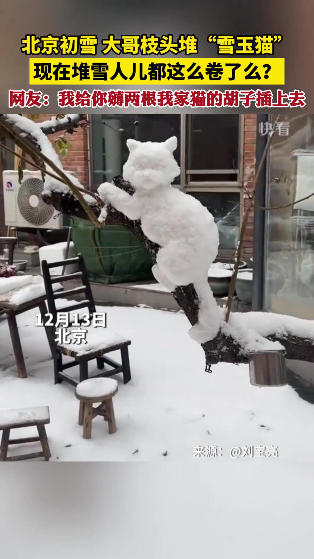 北京初雪 大哥枝头堆“雪玉猫” 现在堆雪人儿都这么卷了么?