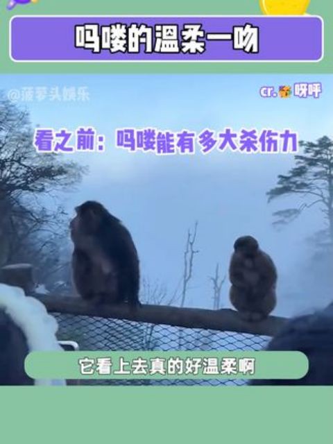 这是什么校园青涩恋爱啊