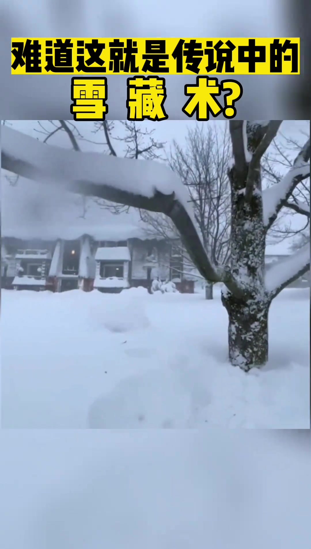 这难道就是传说中的雪藏术?!