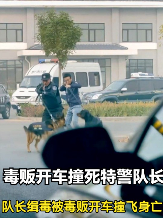 毒贩老大被特警包围,无路可逃决定鱼死网破,愤怒开车撞飞特警队长! #一起追剧 #好剧推荐 #观影报告