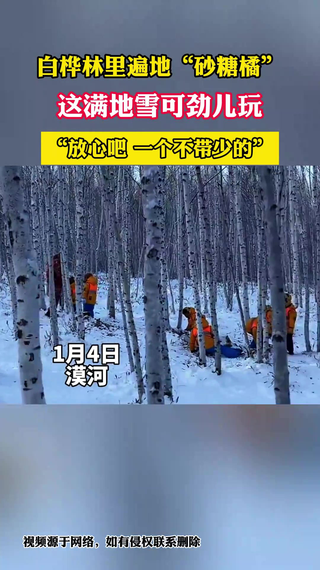 白桦林里遍地“砂糖橘”,这满地雪可劲儿玩!