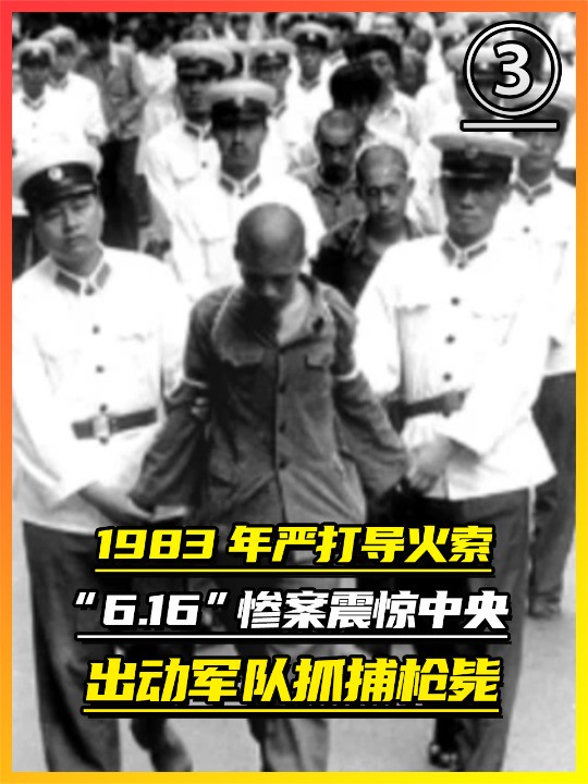 1983年严打导火索,616惨案震惊中央,出动军队抓捕枪毙2.4万人(3)