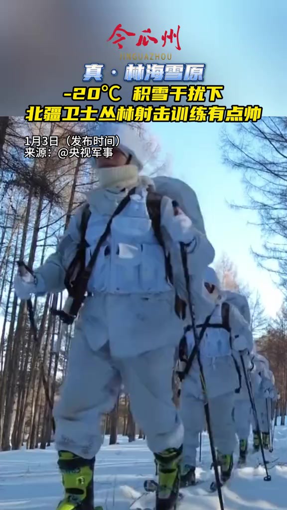 真ⷮŠ林海雪原