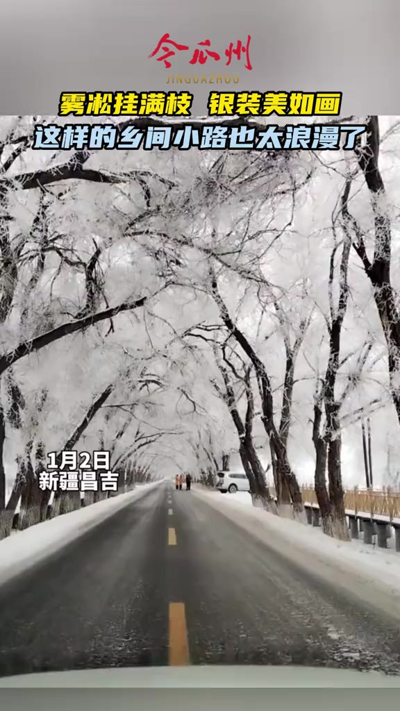 这样的乡间小路也太浪漫了 (来源:昌吉日报)