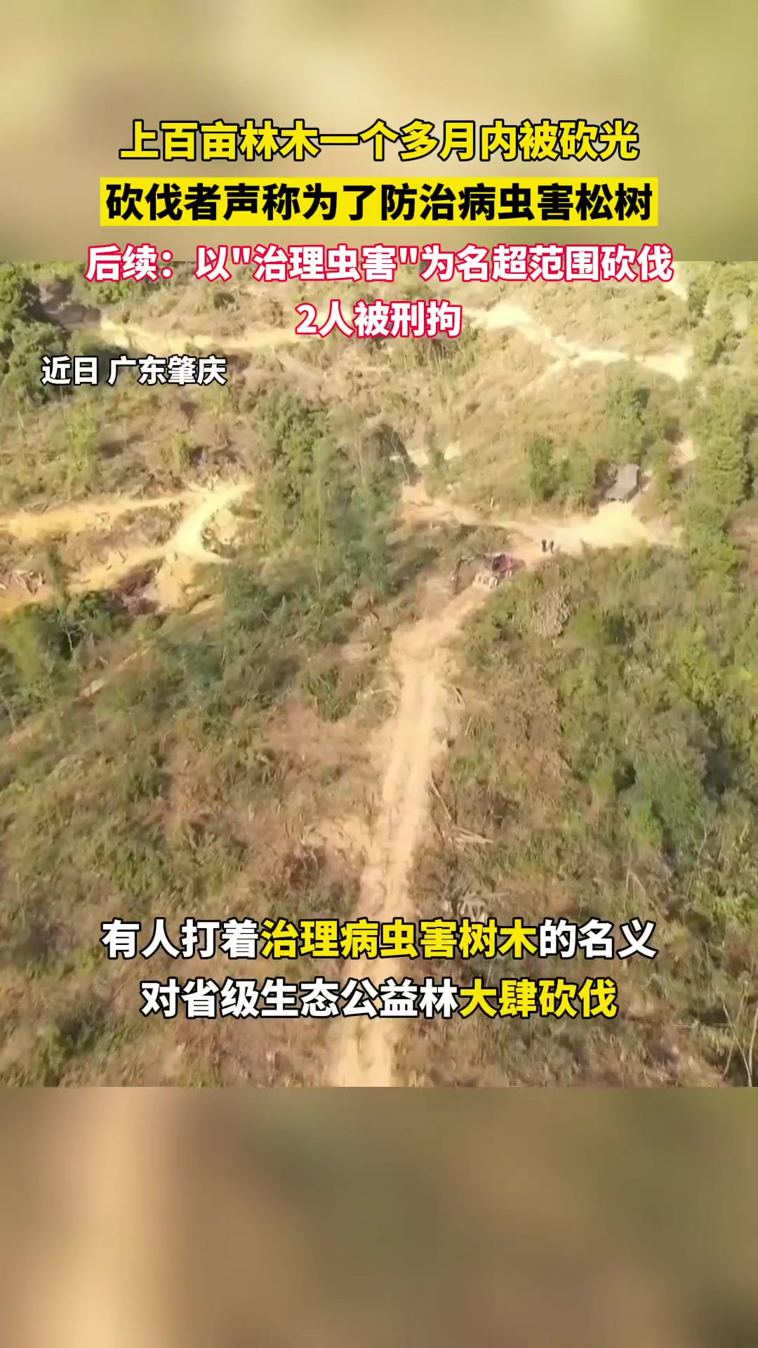 以“治理虫害”为名砍伐山林,东江虫控科技公司2人被刑拘!针对这起事件,肇庆四会威整镇政府和肇庆市林业局均表示需深刻反思.