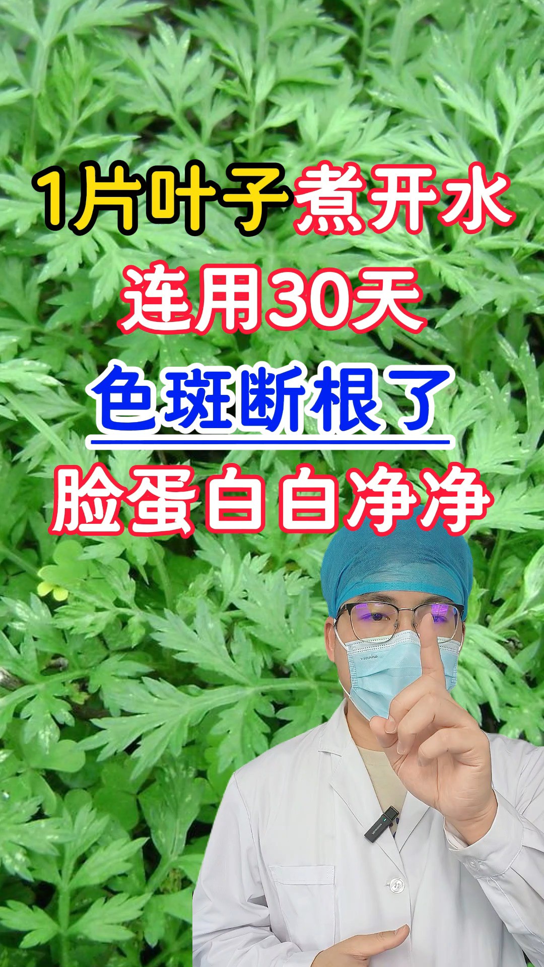 1片叶子煮开水,连用30天,色斑断根了,脸蛋白白净净