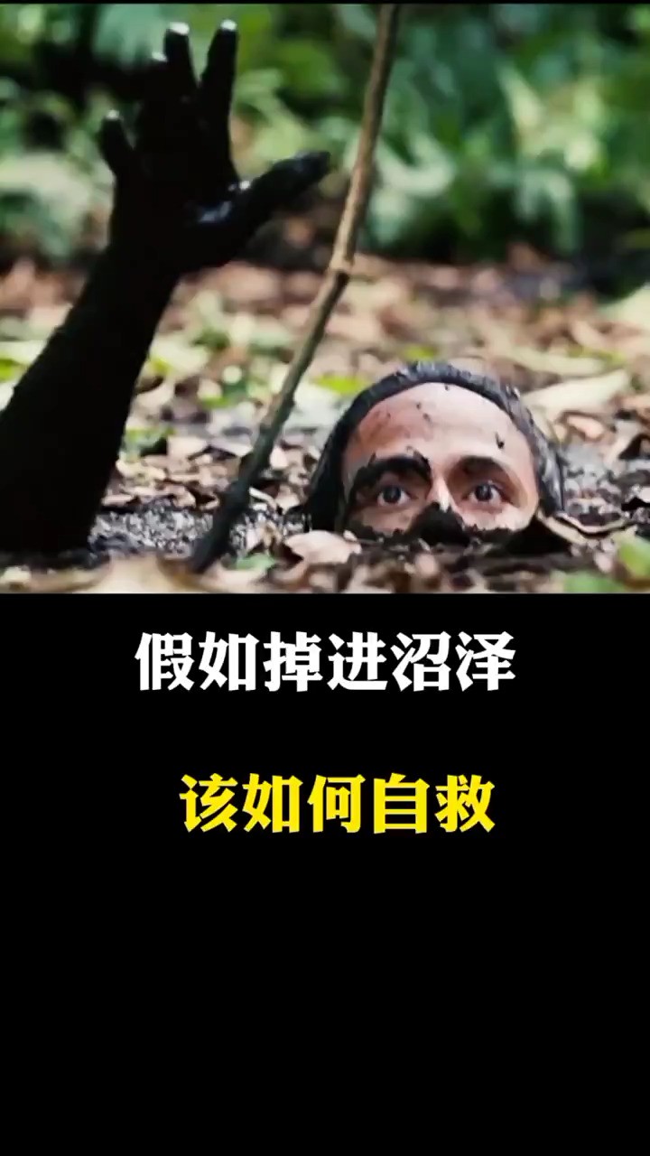 假如掉进沼泽,该如何自救?