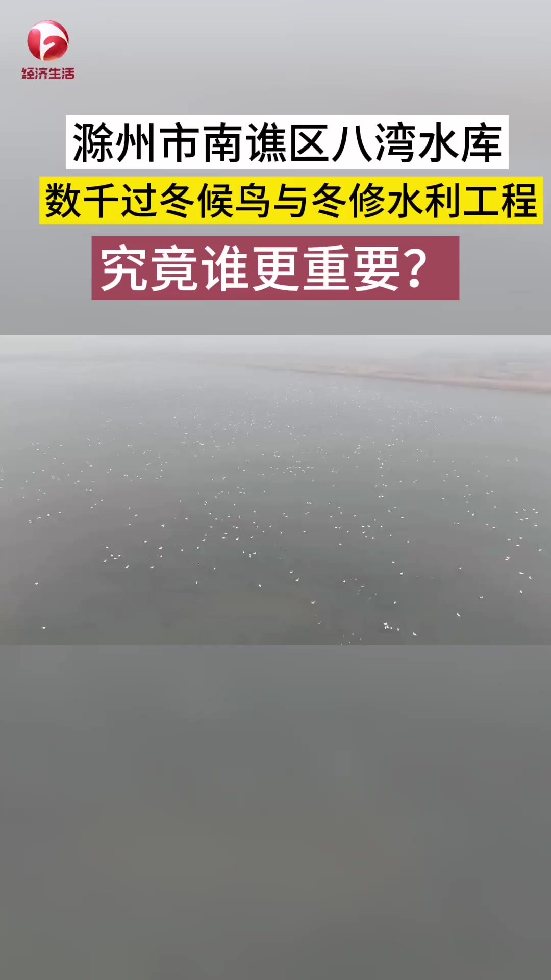 滁州市南谯区八湾水库即将迎来冬修施工,前不久却飞来数千只珍贵候鸟.是保护候鸟,还是按期施工,这个矛盾如何破解