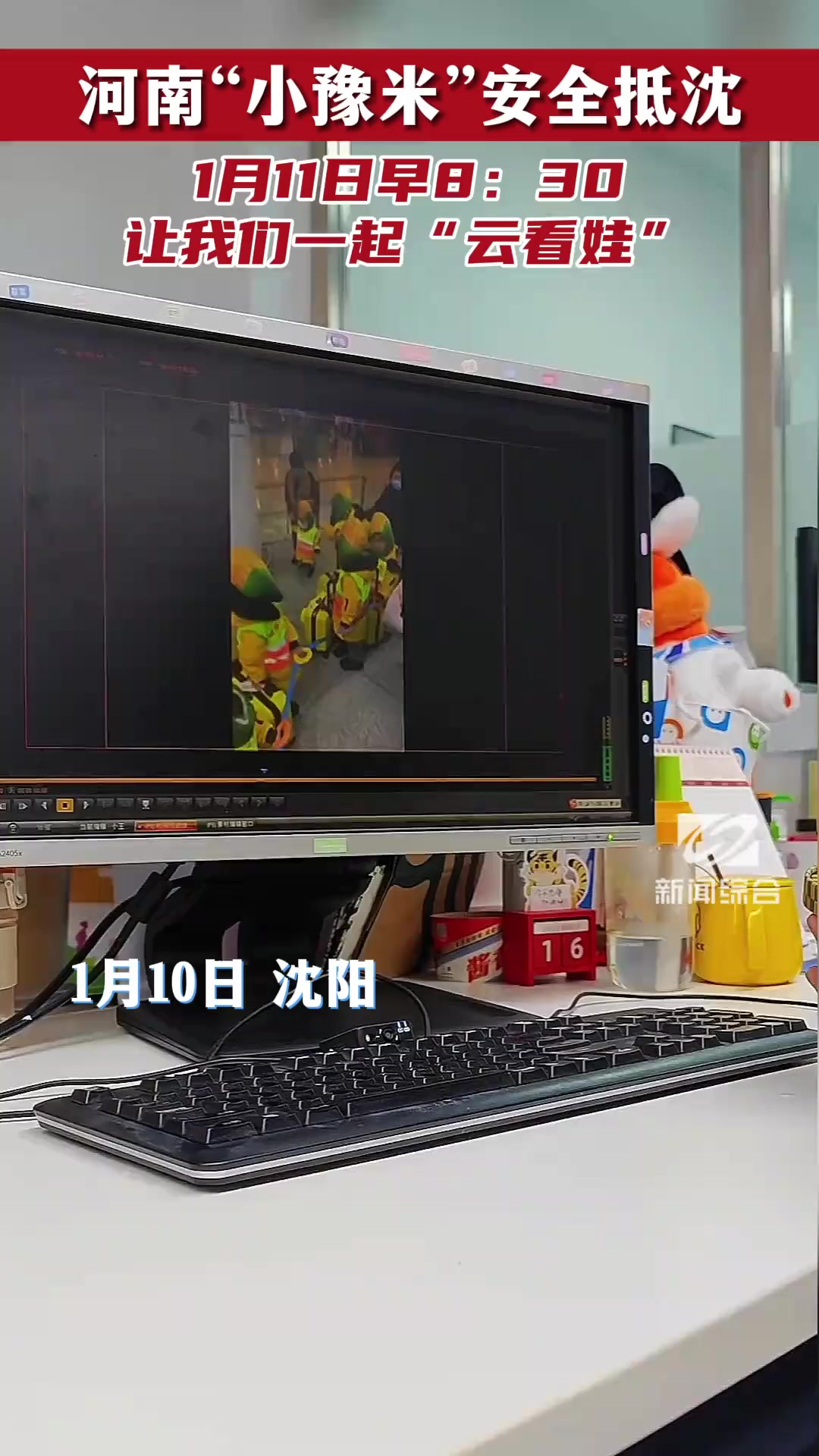 河南“小豫米”安全抵沈,1月11日早8:30 让我们一起“云看娃”