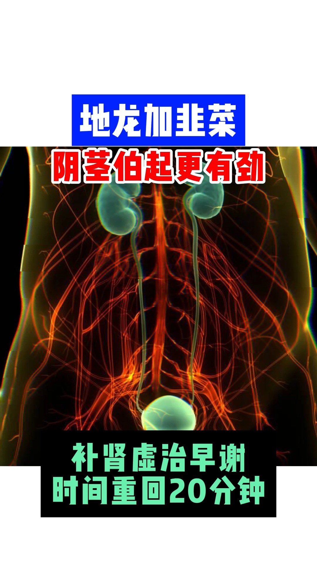 地龙加韭菜,阴经伯起更有劲,补肾虚治早谢,时间重回20分钟