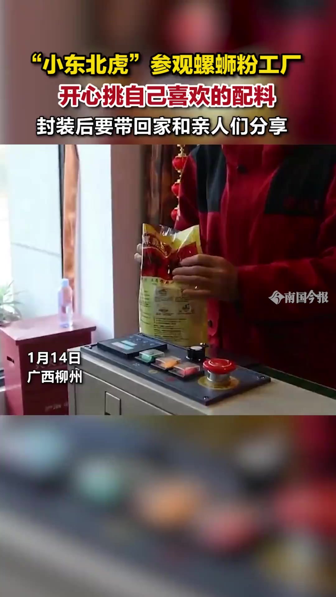 “小东北虎”参观螺蛳粉工厂 开心挑自己喜欢的配料