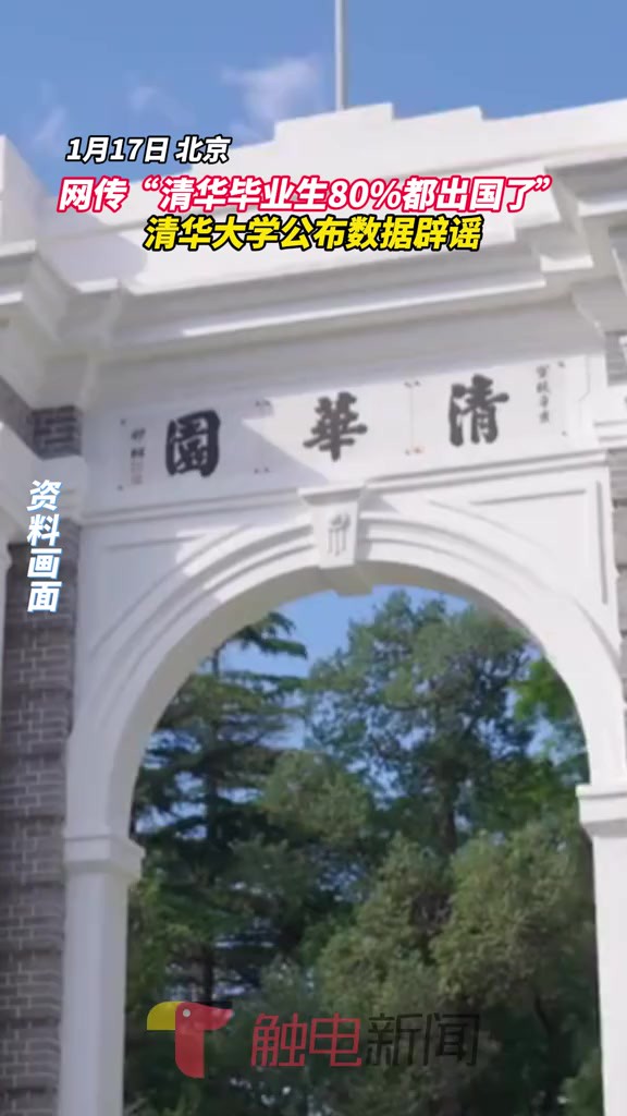 网传“清华大学公布数据辟谣