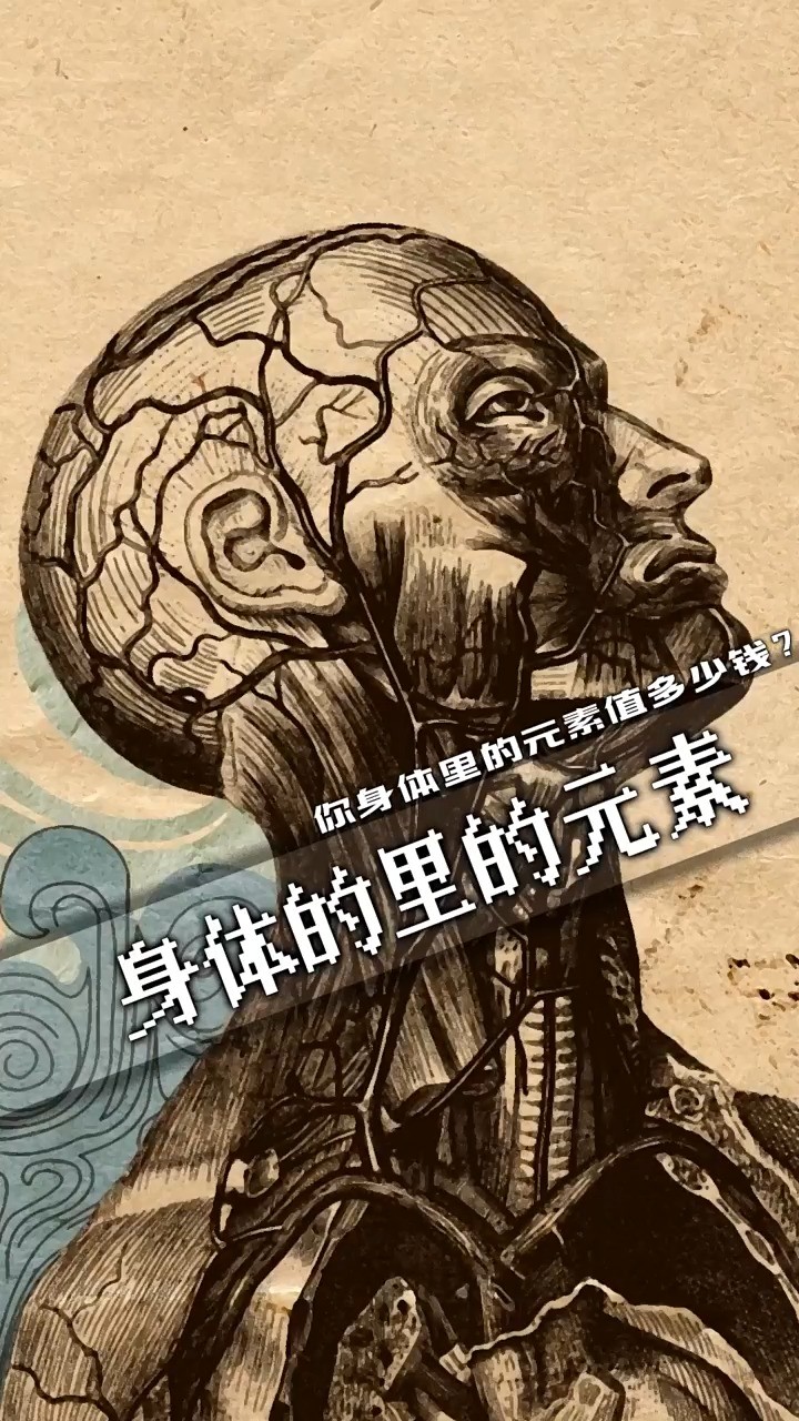 制造一个人类需要多少钱的元素?#科学 #科普