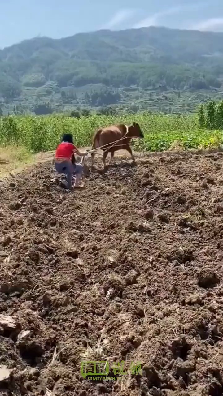 这是不想干想被吃了嘛