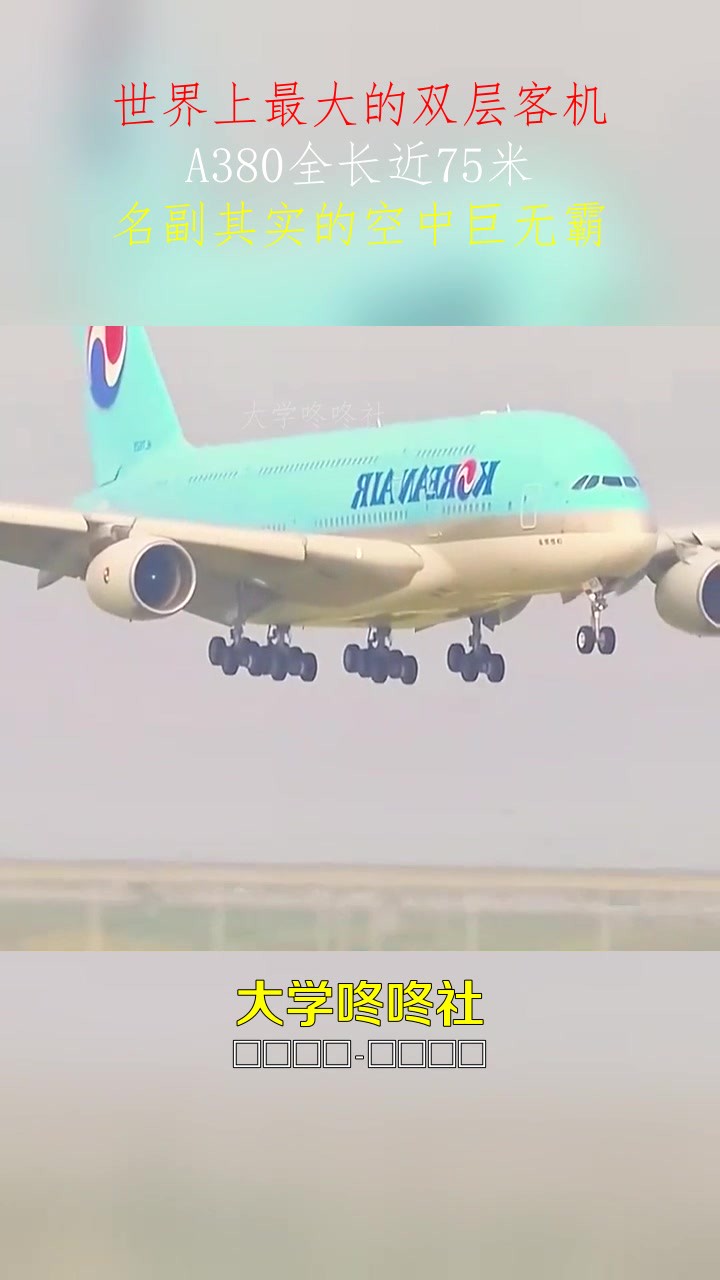 世界上最大的双层客机,A380全长近75米,名副其实的空中巨无霸#搞笑 