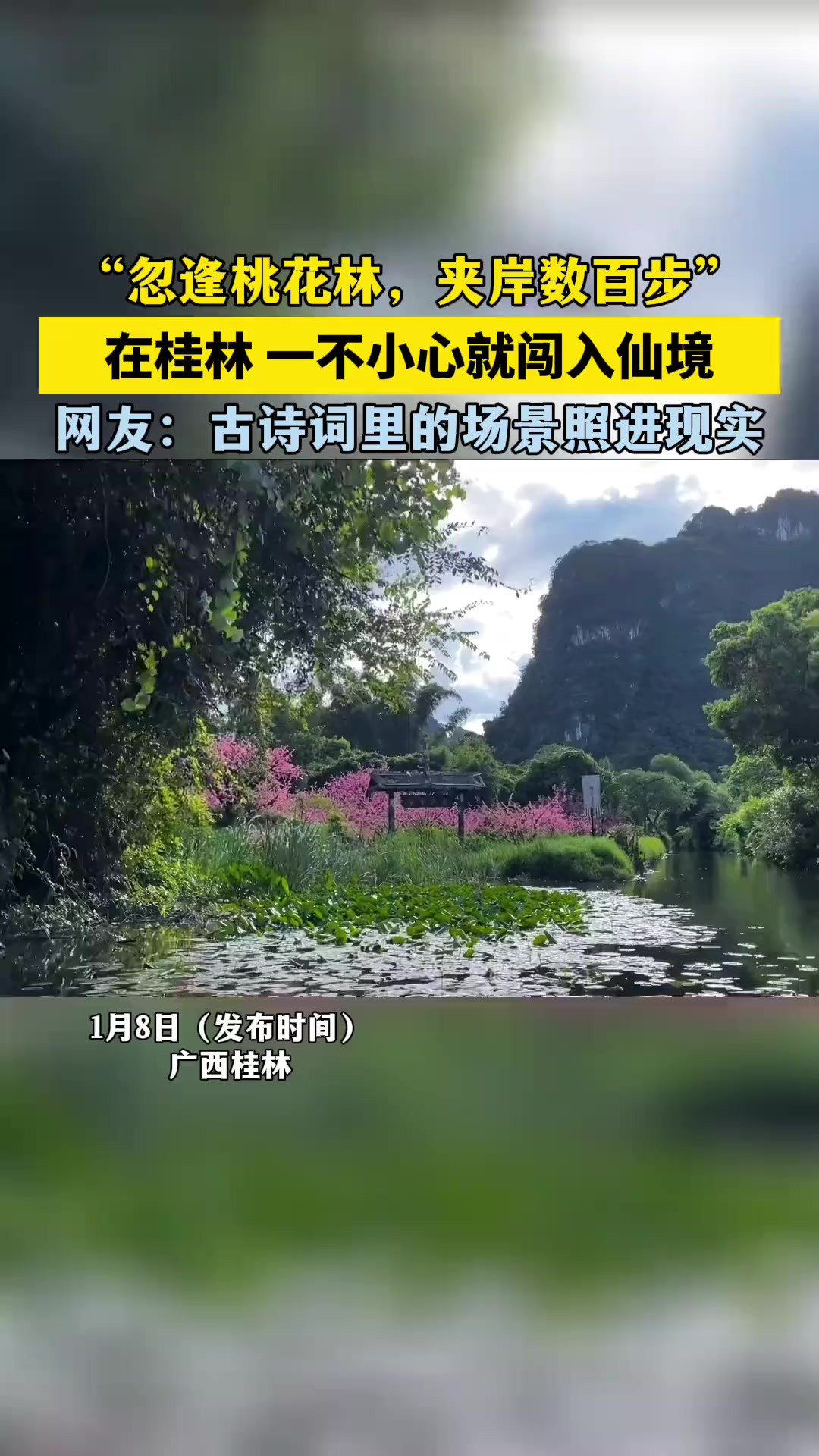 “忽逢桃花林,夹岸数百步”,在桂林一不小心就闯入了仙境!网友:古诗词里的场景照进现实!(来源: