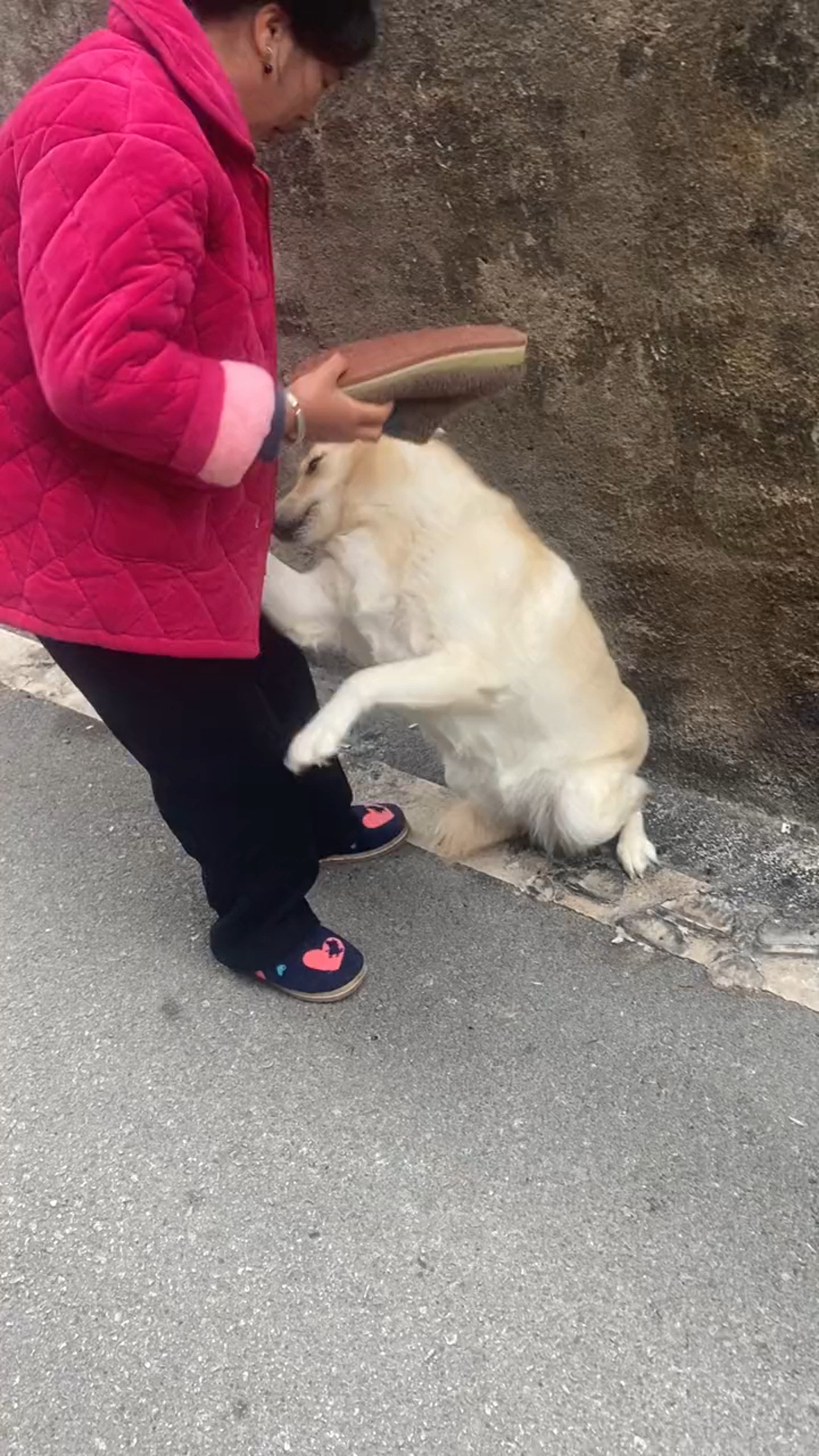 这是犯什么错了,受如此大刑