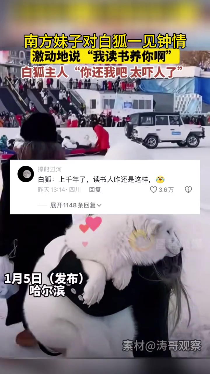 南方“小土豆”与白狐一见钟情,激动地说“我读书养你啊”,白狐主人 “你还我吧 太吓人了”.