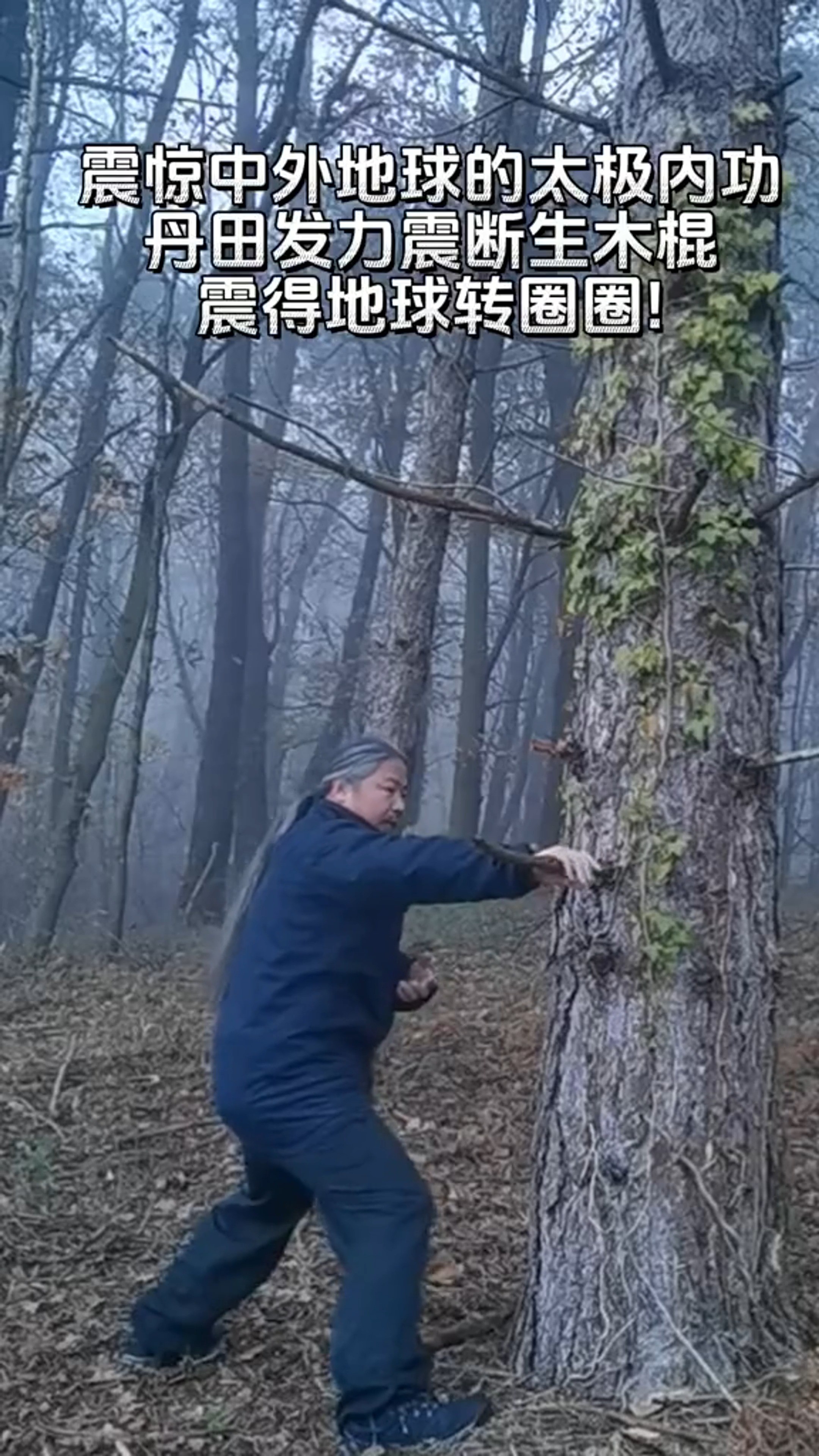 震惊中外地球的太极内功丹田发力震断生木棍震得地球转圈圈!