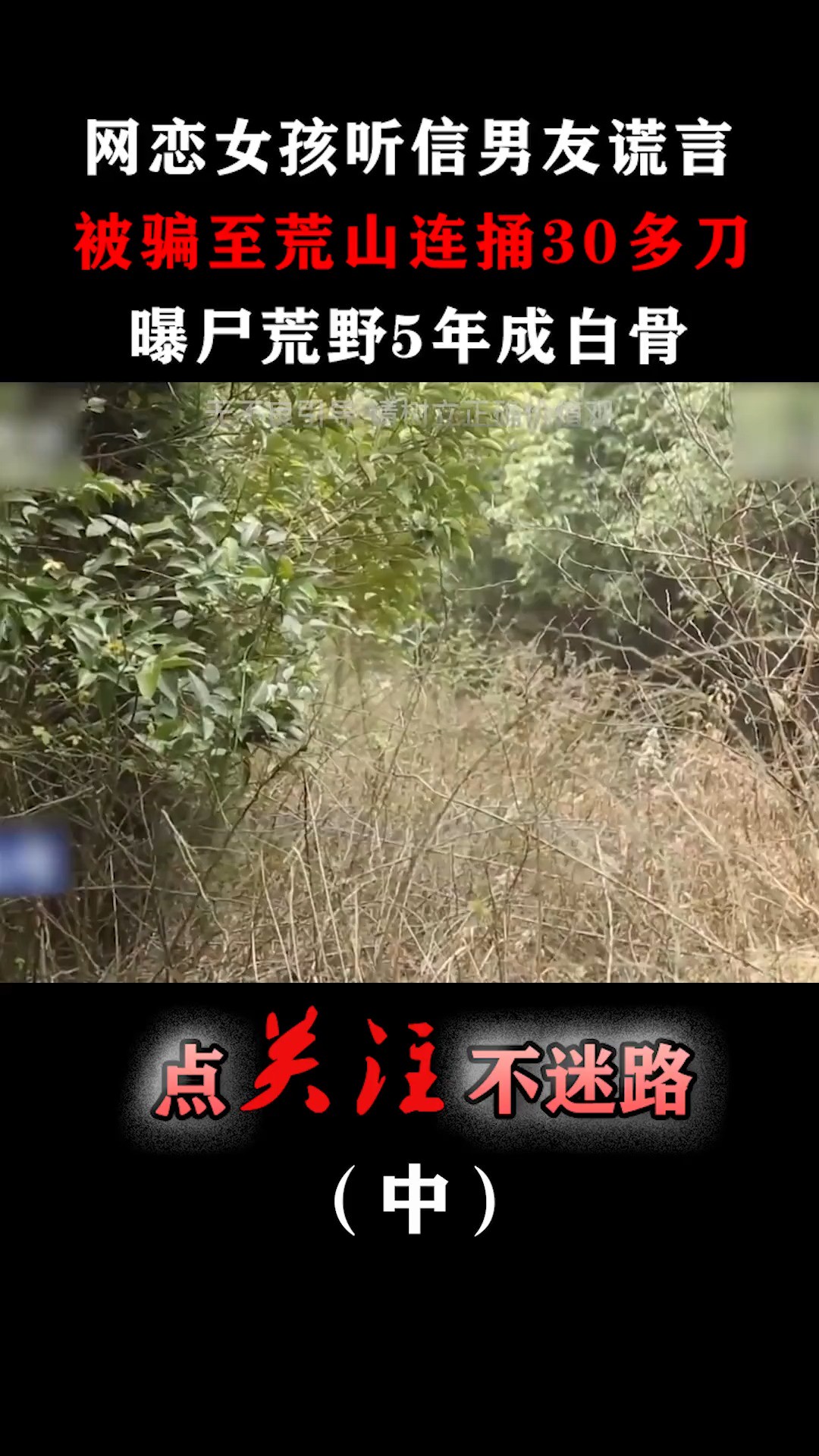 荒山野岭惊现白骨女尸,五年悬案告破,全是网恋惹的祸!#真实事件#悬案#网恋#白骨女尸 (2)