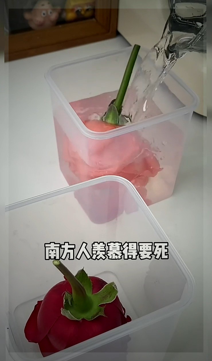 制冰合集,这次没有文明宝宝,清放心食用