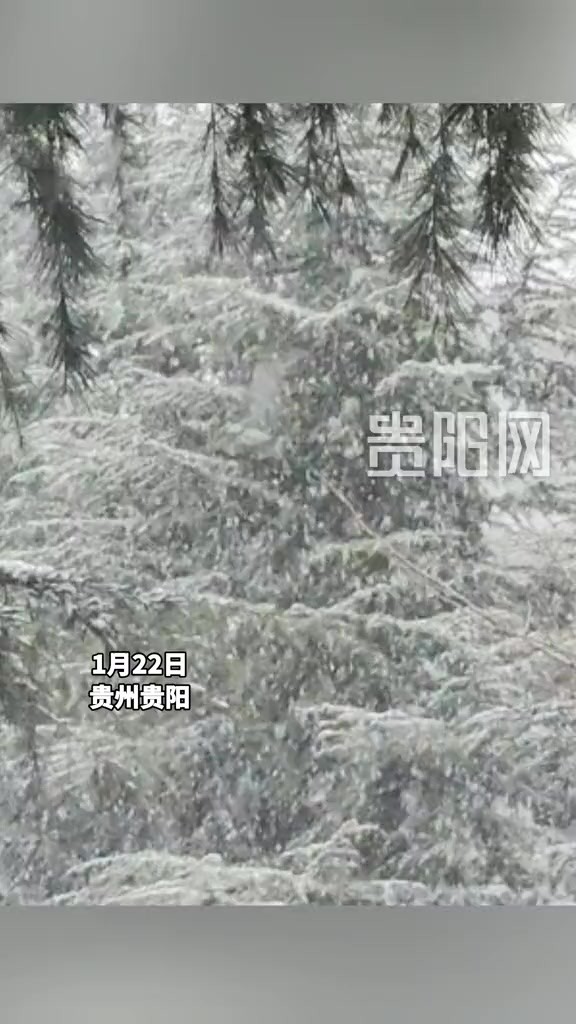 贵州真的下雪了!让我看看,这个视频传到哪了?