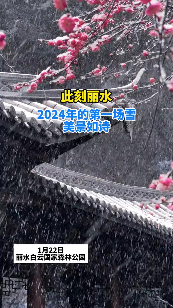 此刻丽水 2024年的第一场雪美景如诗