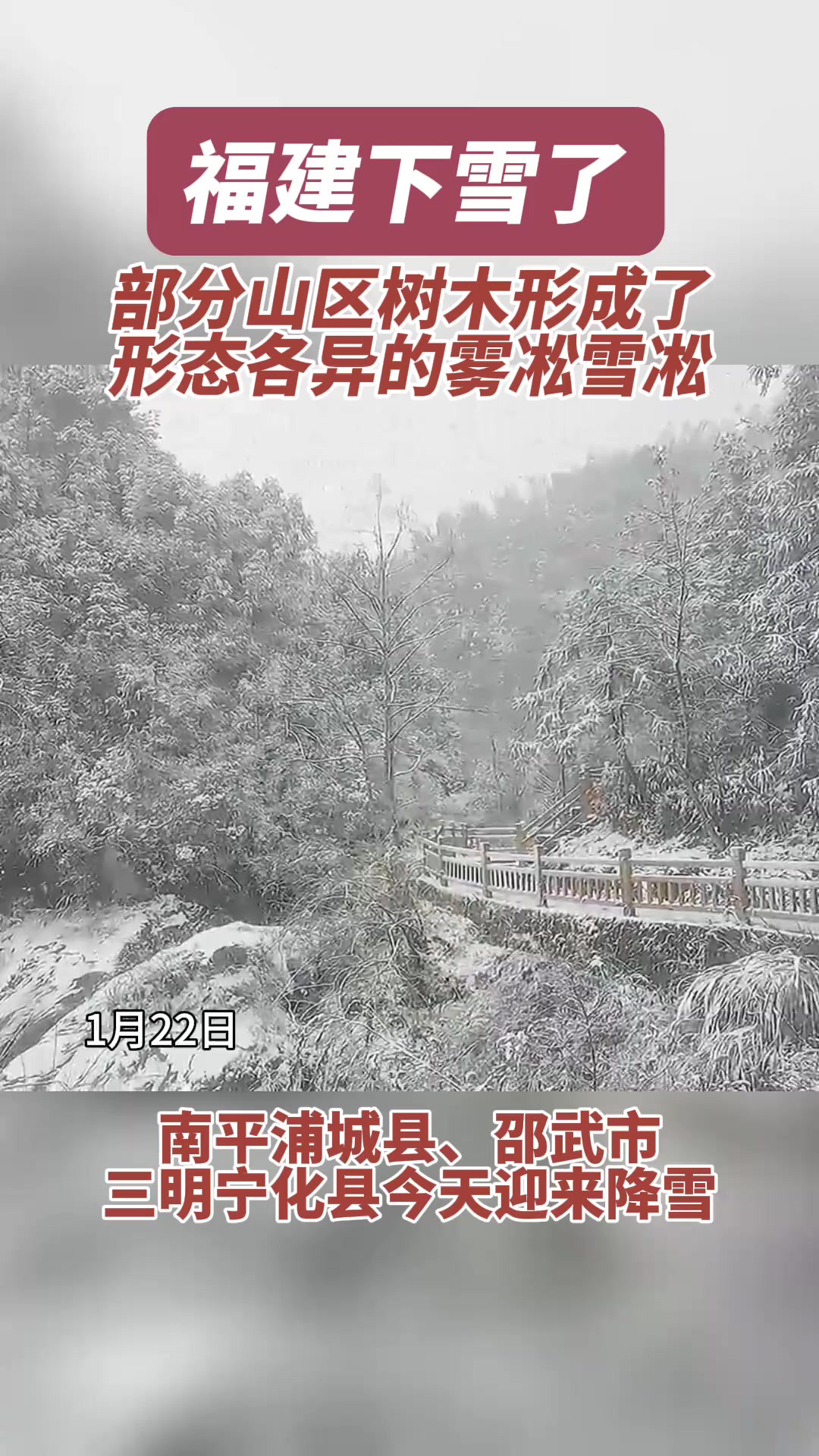 部分山区树木形成了形态各异的雾凇雪凇.