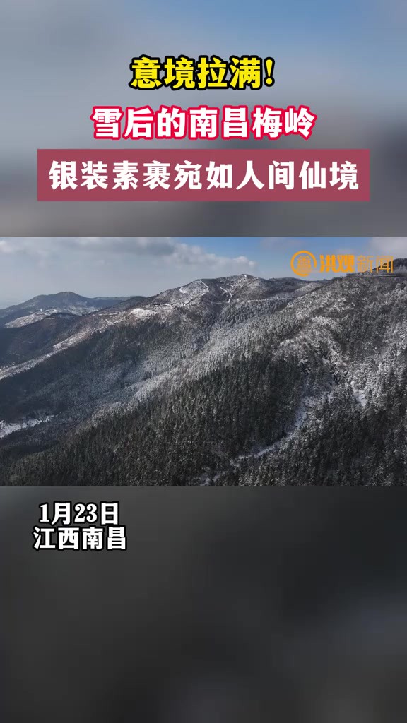 意境拉满!雪后的南昌梅岭银装素裹宛如人间仙境