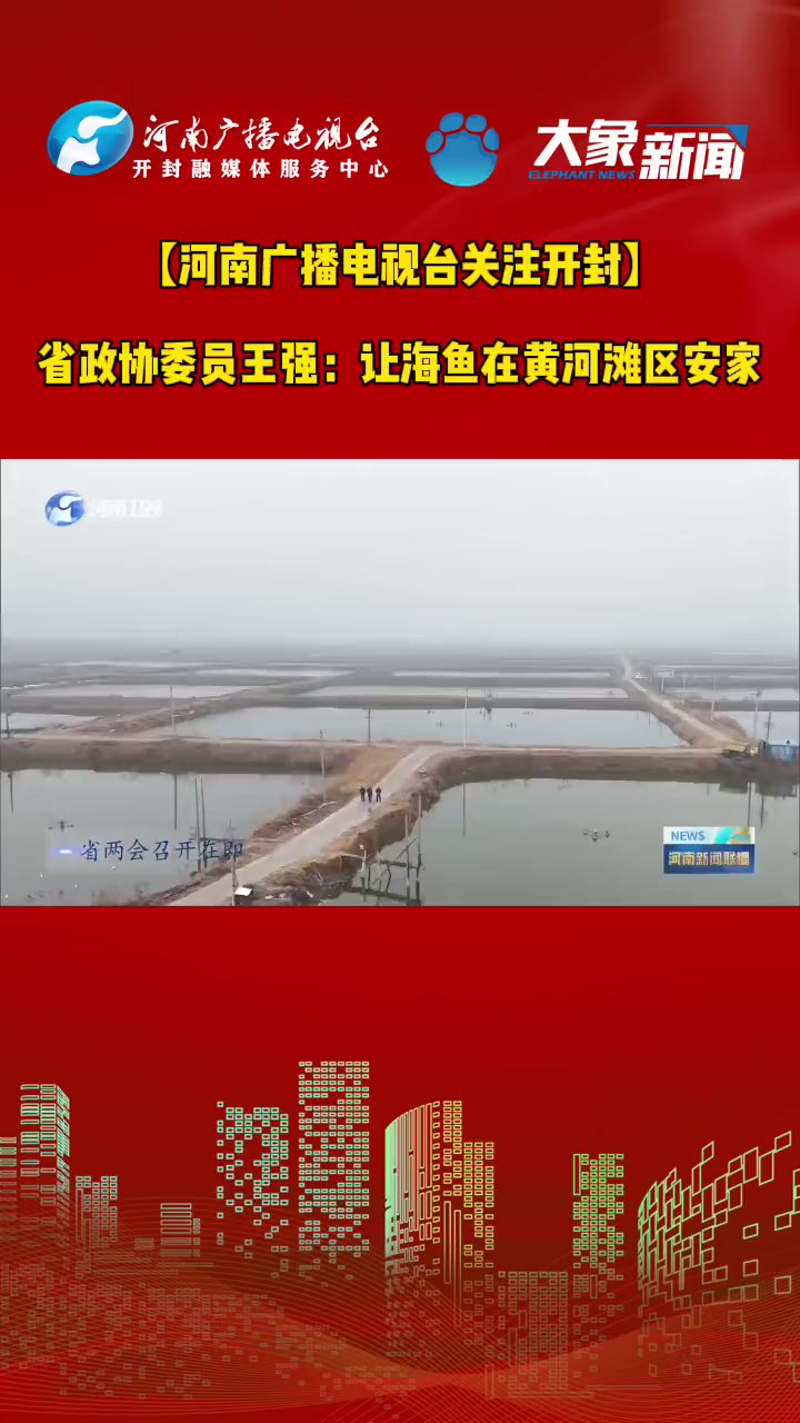 【河南广播电视台关注开封】省政协委员王强:让海鱼在黄河滩区安家