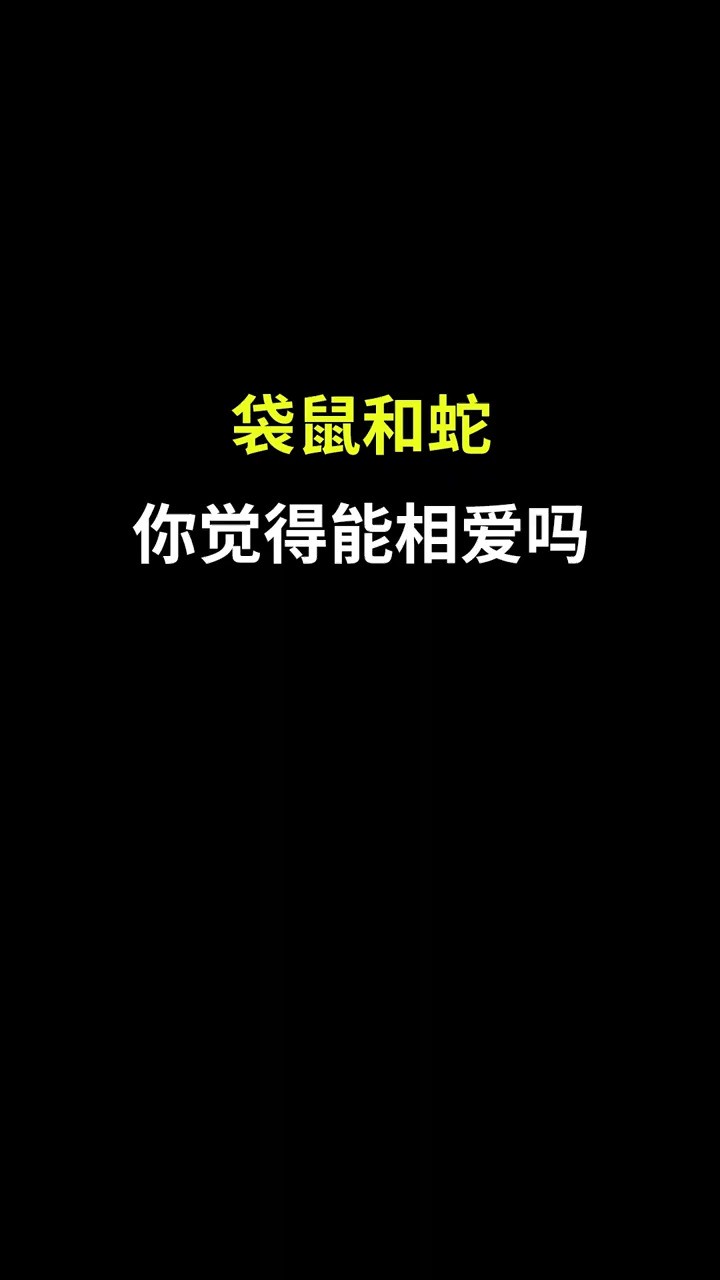 袋鼠和蛇的结合能设计出什么样的logo?#logo设计 #创意 #原创 #商标设计 #创业 