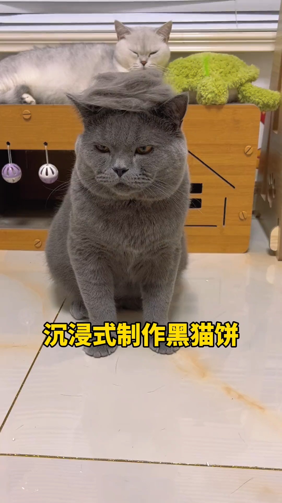  猫饼制作器,便宜好用又解压~