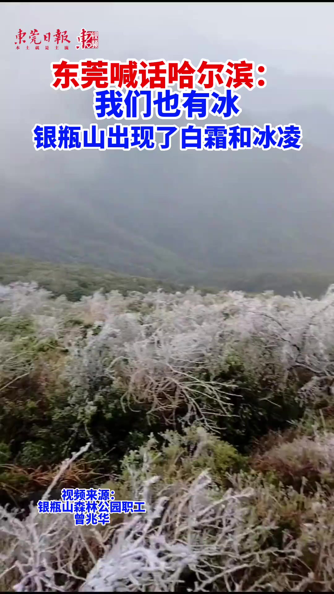 银瓶山出现了白霜和冰凌,东莞喊话哈尔滨:我们也有冰