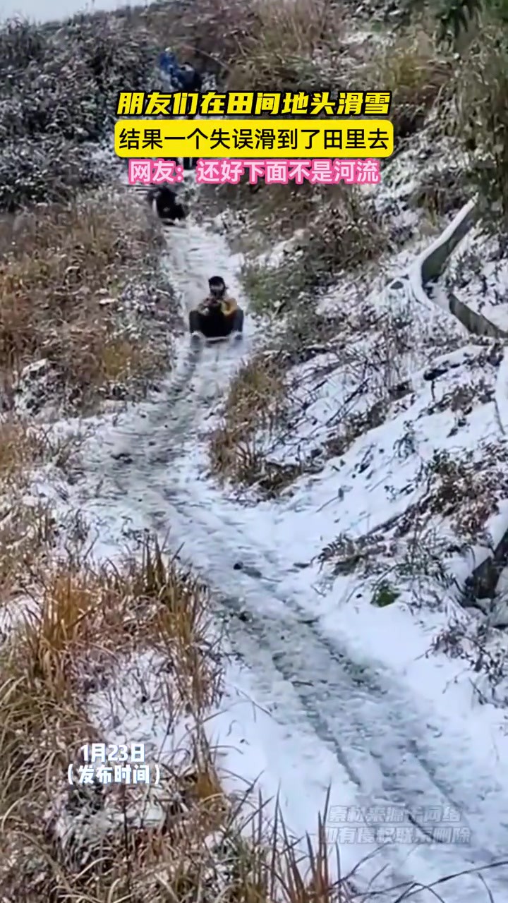 朋友们在田间地头滑雪,结果一个失误滑到了田里去