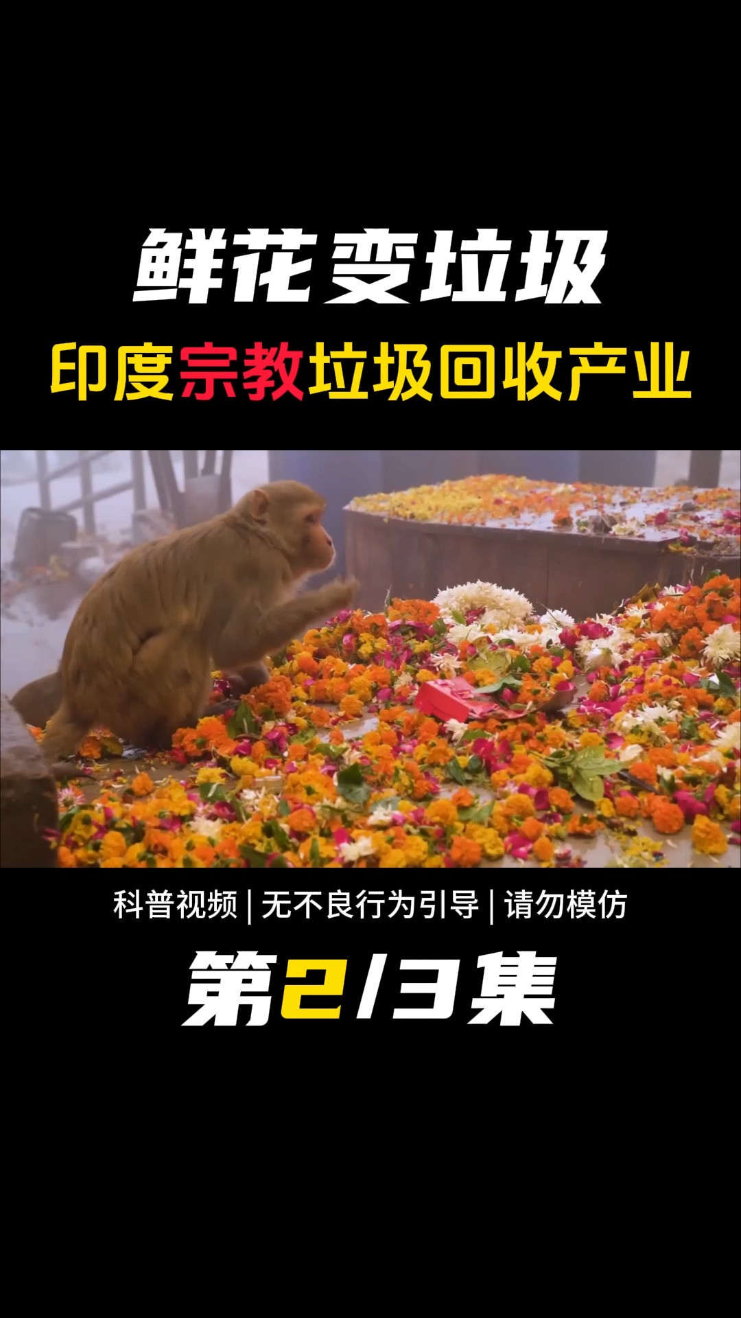 鲜花供品垃圾变废为宝,啥都往恒河里扔,印度宗教垃圾回收产业链 #鲜花 #印度 #垃圾 #恒河