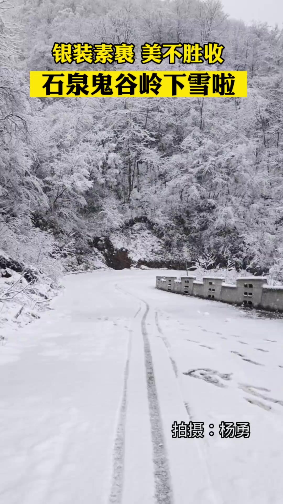 1月21日,安康石泉鬼谷岭下雪啦,银装素裹,美不胜收.拍摄:杨勇.