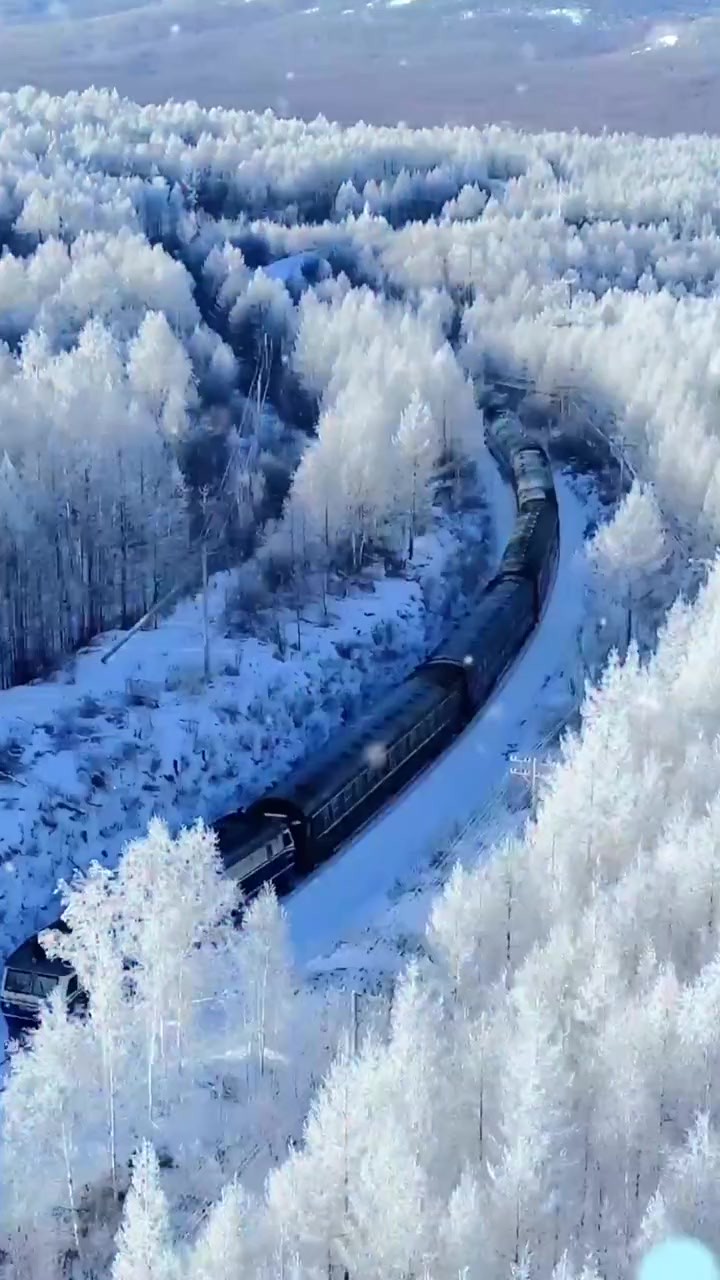 “大美中国行——冰雪之约”融媒体直播活动 走进内蒙古 聚焦“十四冬”冰雪之约