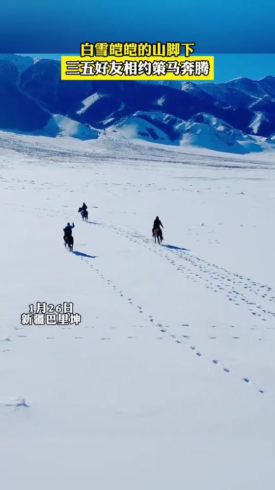 白雪皑皑的山脚下,三五好友相约策马奔腾