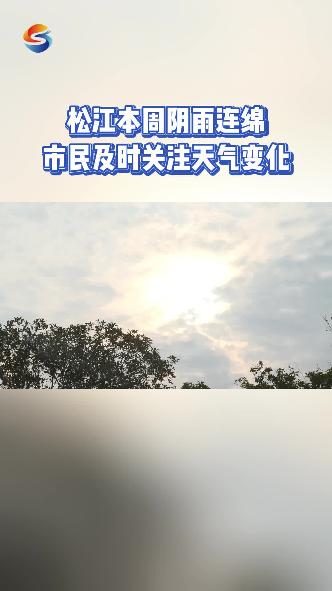 松江本周阴雨连绵 市民及时关注天气变化#上海松江 