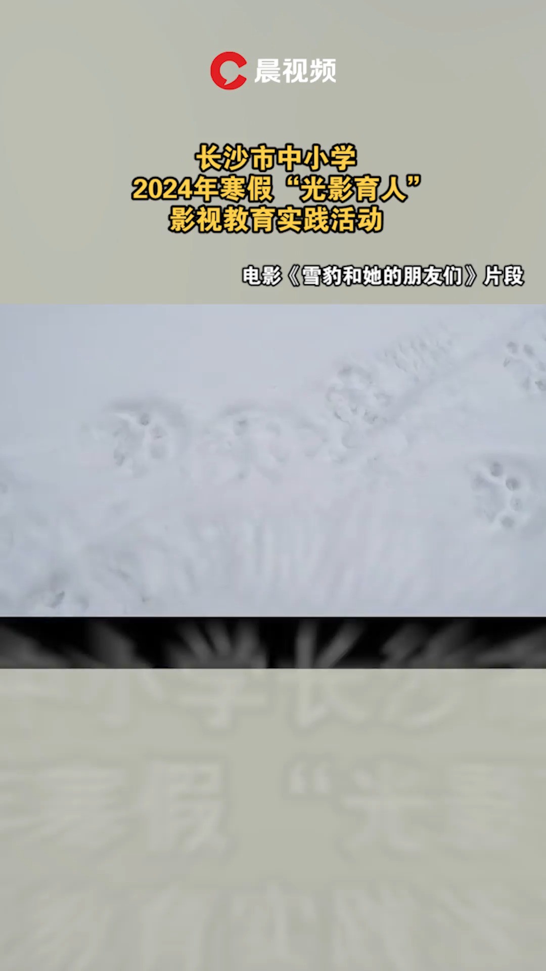 长沙市中小学2024年寒假“光影育人”影视教育实践活动