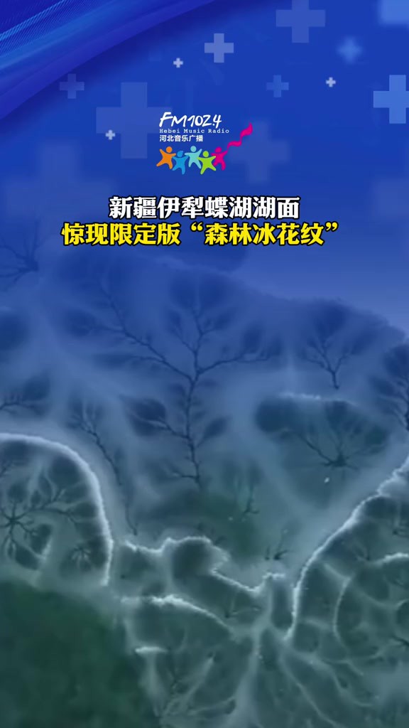 新疆伊犁蝶湖湖面,惊现限定版“森林冰花纹”.