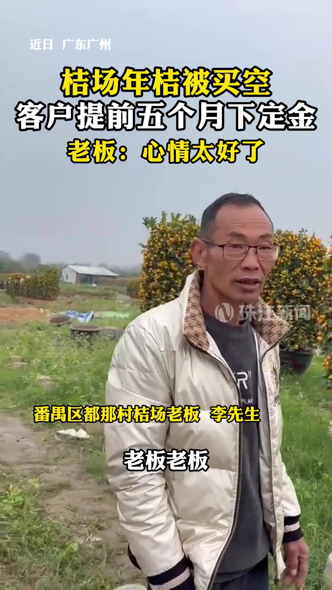 年桔太抢手!广州番禺桔场年桔快卖光 有客户提前五个月下单 年桔太抢手!广州番禺桔场年桔快卖光 有客户提前五个月下单