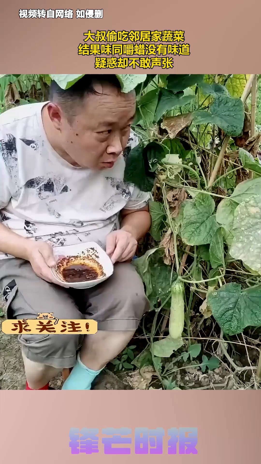 大叔偷吃邻居家蔬菜,结果味同嚼蜡没有味道,疑惑却不敢声张