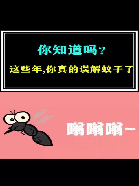 蚊子,你真的了解吗?很有意思 