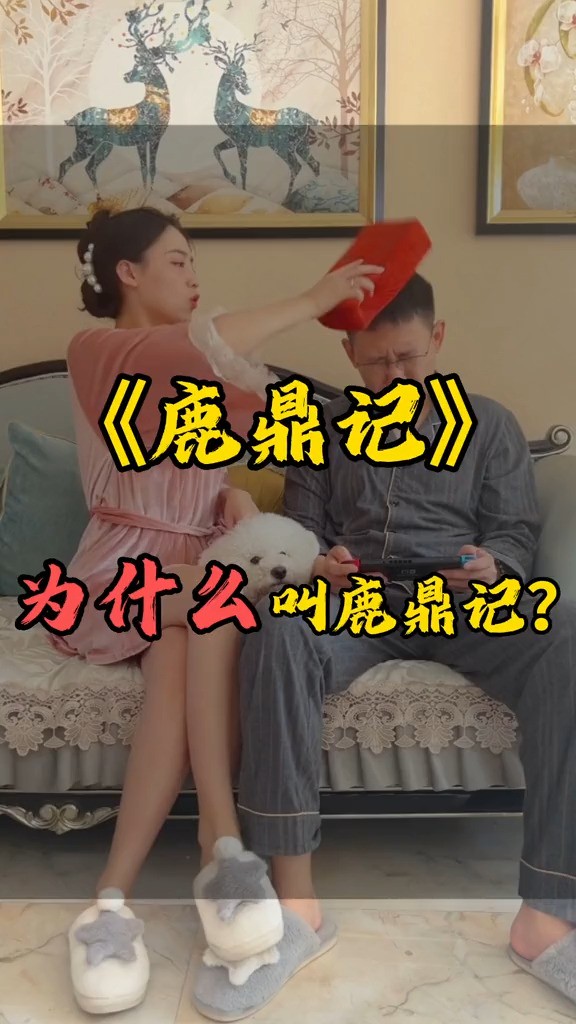 《鹿鼎记》为什么叫鹿鼎记?